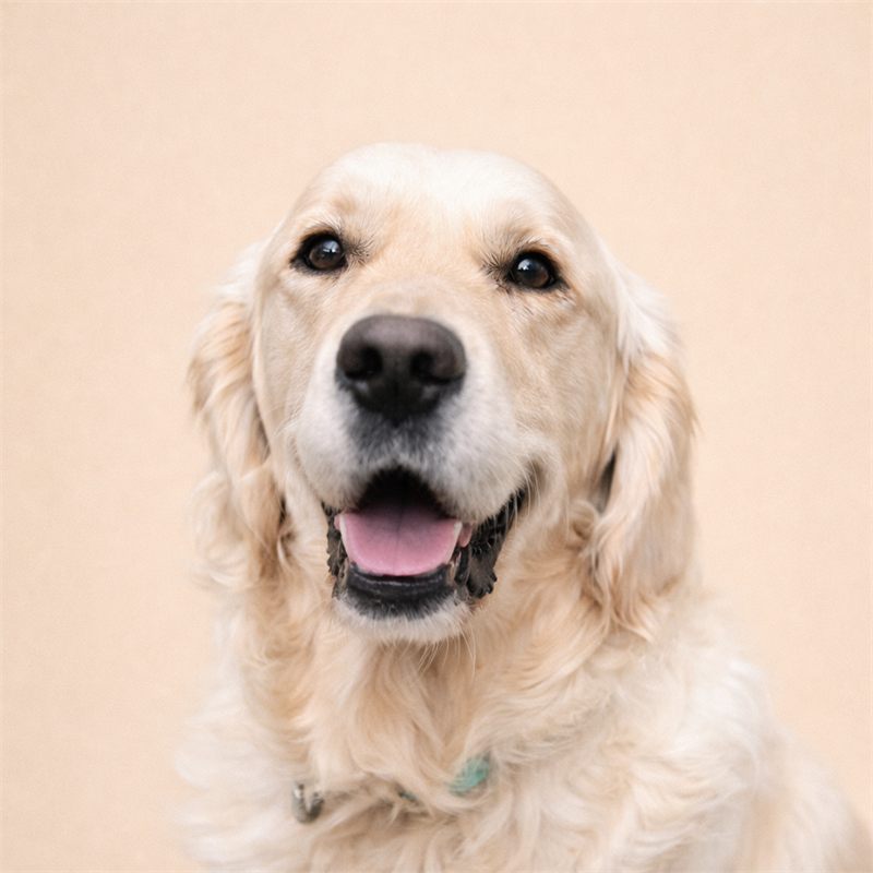 Brody, Patient Intake Specialist at White Smiles Orthodontics